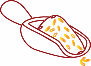 Home 5 b1